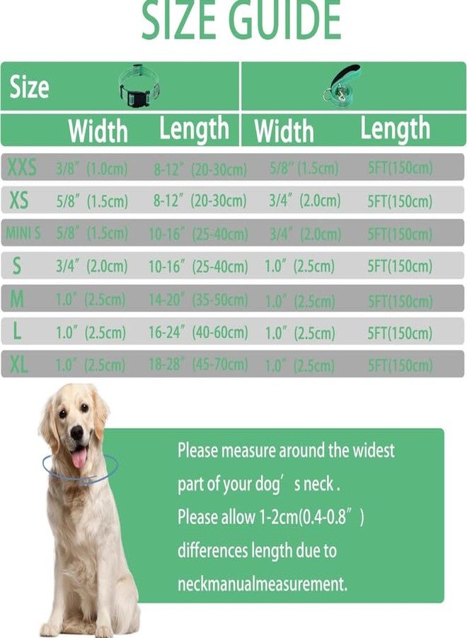 KittuPet طقم طوق ومقود للحيوانات الأليفة من KittuPet، طوق قابل للتعديل للكلاب بنقشة عسكرية، مقود متعدد الألوان، مقاس المقود 10 مم، محيط الرقبة 20-30 سم، قد يختلف اللون - Image 4